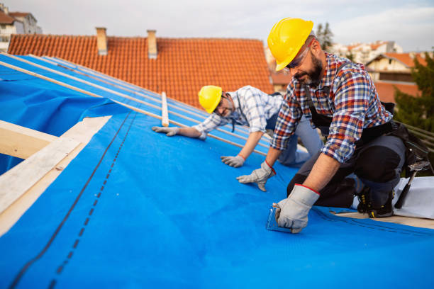 Best Roof Repair Services  in Hagaman, NY